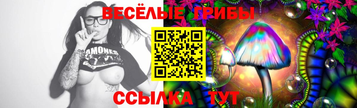 Псилоцибиновые грибы Psilocybe  Вход с VPN  Псилоцибиновые грибы Psilocybine cubensis  Алушта 